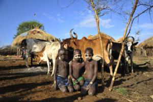 Mursi Boys and cattle